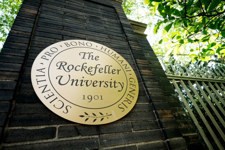 Application for the Chemers Neustein Summer Undergraduate Fellowship 2025