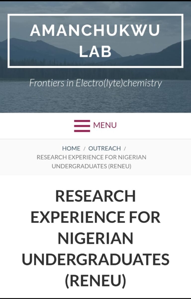 RENEU Research Experience 2026 for Nigerian Undergraduates (Virtual Summer Program)