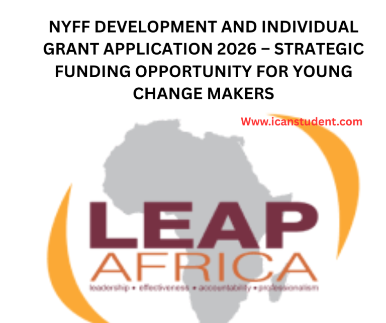 NYFF DEVELOPMENT AND INDIVIDUAL GRANT APPLICATION 2026 || STRATEGIC FUNDING OPPORTUNITY