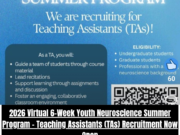 2026 Virtual 6-Week Youth Neuroscience Summer Program – Teaching Assistants (TAs) Recruitment Now Open