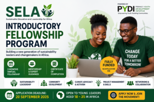 SELA Introductory Fellowship Program: Fully Funded Sustainability Leadership Fellowship for Young Africans